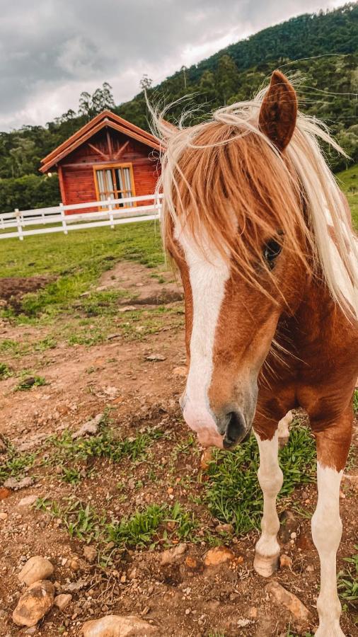 Cabana Furna Dos Poneis Urubici Dış mekan fotoğraf